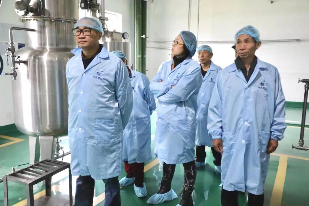 眼貼生產(chǎn)高標準、嚴要求原來是這樣的