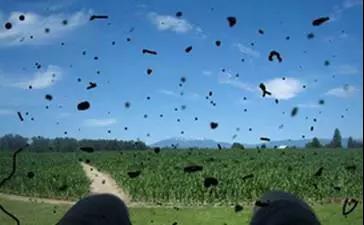 關(guān)注眼健康，了解飛蚊癥！