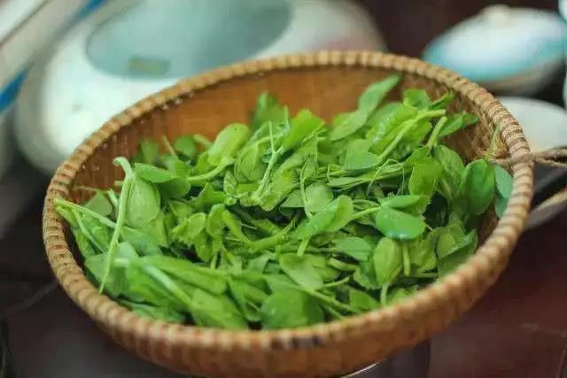 好視力科技護(hù)眼知識(shí)分享：用眼過度的人多吃這道菜