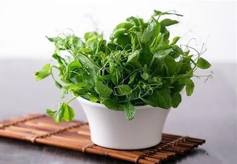 這個(gè)護(hù)眼食物，竟然還有人不知道！