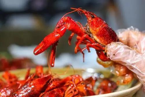 小龍蝦暢銷的季節(jié)，專家建議這個部位千萬別吃！