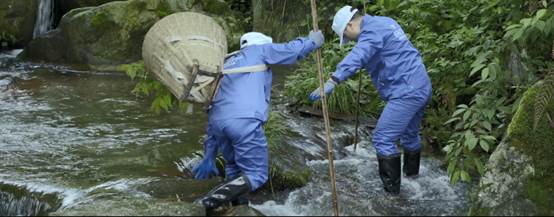 好視力眼貼：20年的良心堅(jiān)守，只為讓我媽用上好的護(hù)眼產(chǎn)品