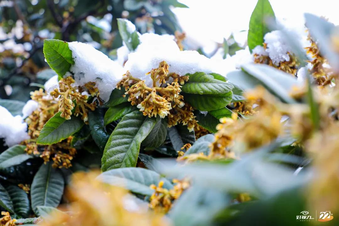 一場初雪，好視力眼貼一直守護