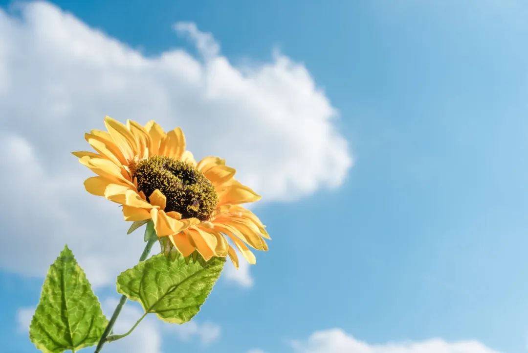 炎炎夏日，牢記這四點(diǎn)，讓眼睛更健康