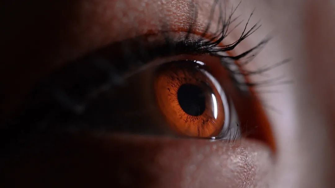 各年齡階段護眼重點，可千萬別搞錯了