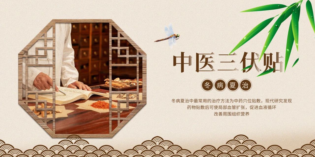 眼睛也需要“三伏貼”？